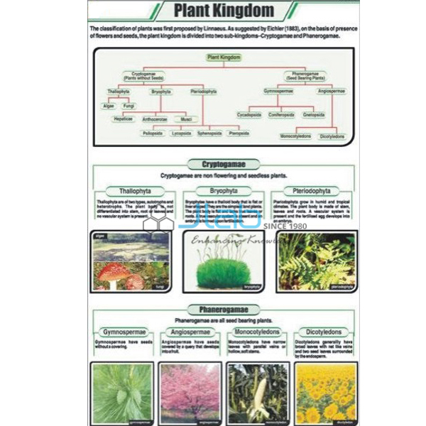 Botany Charts